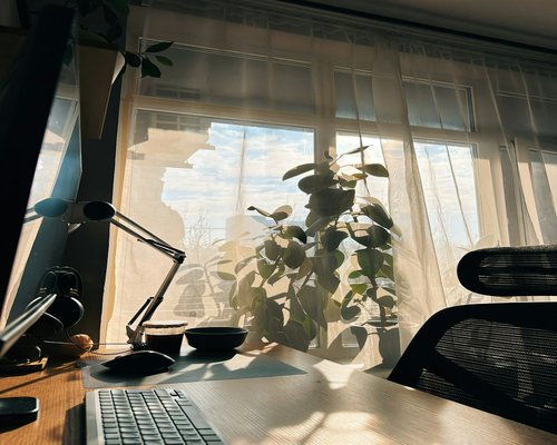 Minimalist desk setup with plants and soft sunlight
